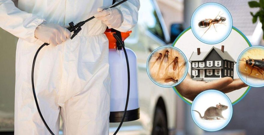 Özvatan Böcek İlaçlama