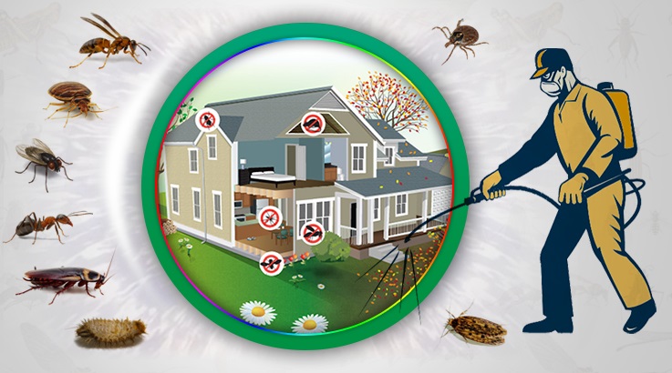 Özvatan Böcek İlaçlama