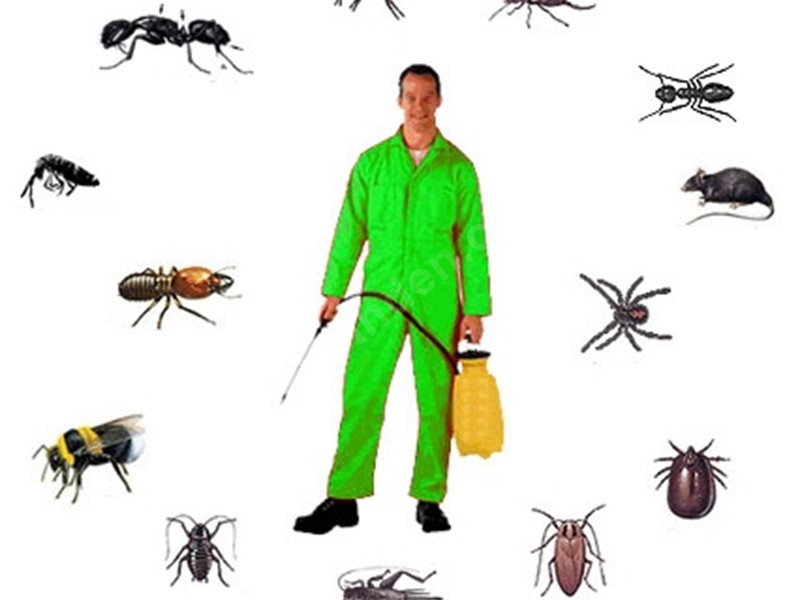 Özvatan Böcek İlaçlama